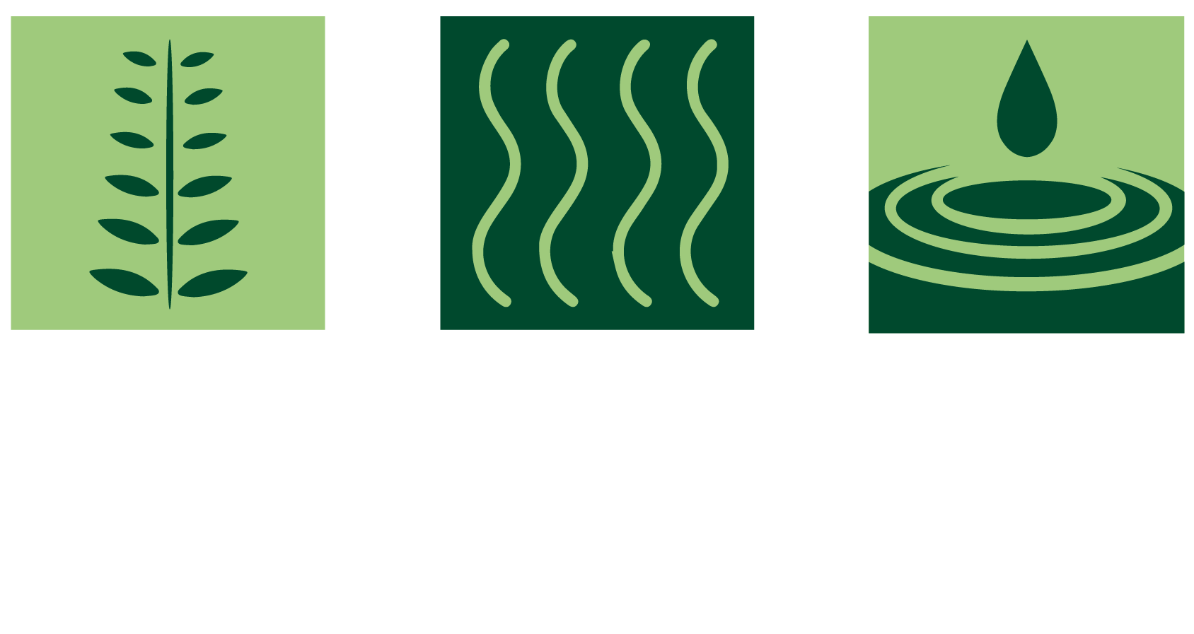 Mazzy Aromatherapy Center Marrakech